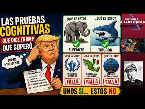 Vito, Alvise y el test cognitivo de Trump