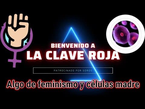 Algo de feminismo y células madre